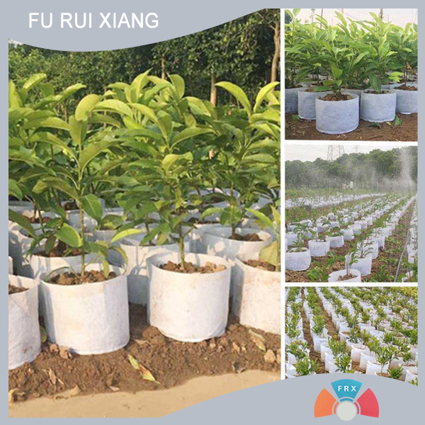 農(nóng)業(yè)用紡粘無(wú)紡布